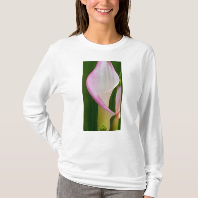 Calla Pano T-Shirt (Front)
