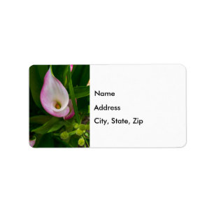 Calla Roll Address Label