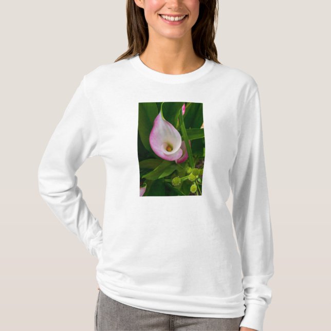 Calla Roll Long Sleeve T-Shirt (Front)