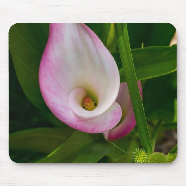 Calla Roll Mouse Mat (Front)