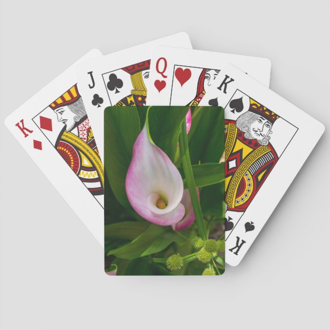 Calla Roll Playing Cards (Back)