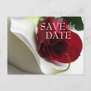 Calla/Rose Save the Date Postcard