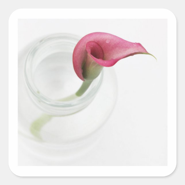 Calla Square Sticker (Front)