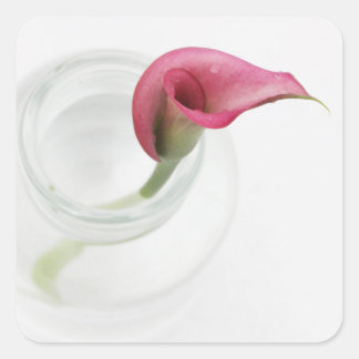 Calla Square Sticker
