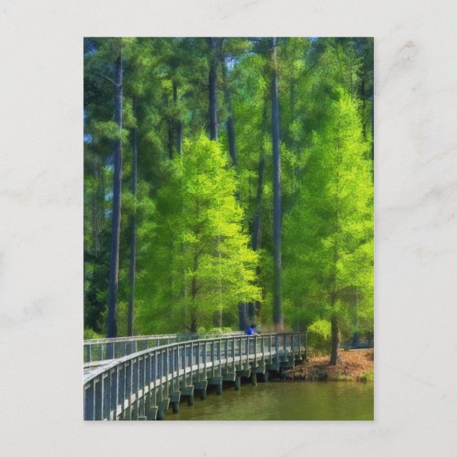 Callaway Landscape Postcard (Front)