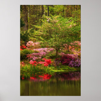 Callaway Landscape Poster