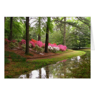 Callaway Stream