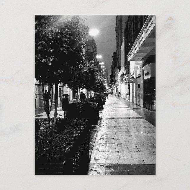 Calle Florida Buenos Aires black and white  Postcard (Front)