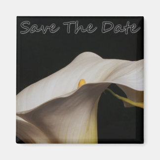 Calli Lillie Save The Date Magnet