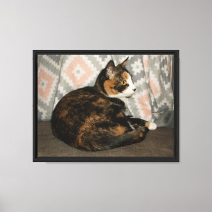 Callie Cat on Sofa Canvas Print