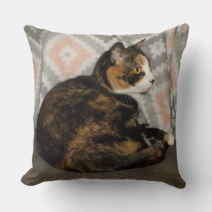 Callie Cat on Sofa Cushion
