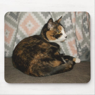 Callie Cat on Sofa Mouse Mat