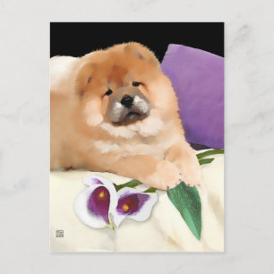 CALLIE heARTdog chow postcard