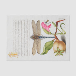 Calligraphy (Dragonfly, Carnation & Pear ) Tissue Paper