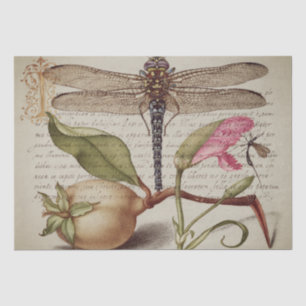 Calligraphy (Dragonfly, Carnation & Pear) Tissue Tissue Paper