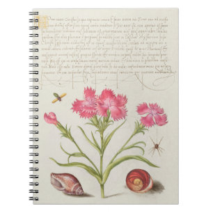 CALLIGRAPHY SPIDER SANTA FLOWER PUBLIC DOMAIN BOTA NOTEBOOK