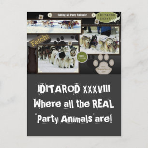 Calling all party animals! postcard