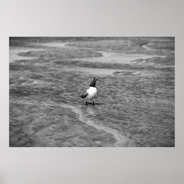 calling out poster (Front)