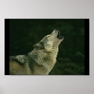 Calling the pack poster