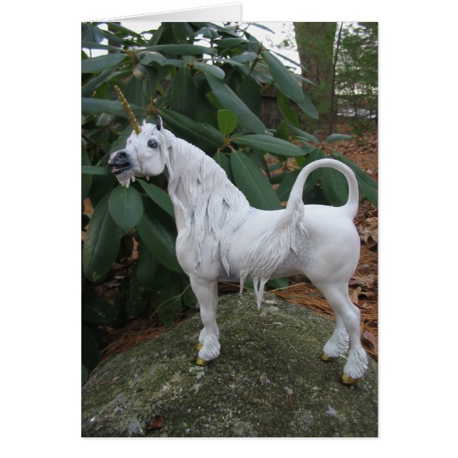 Calling Unicorn (Front)