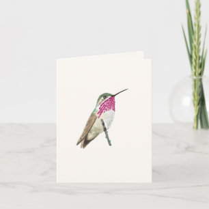 Calliope Hummingbird Card