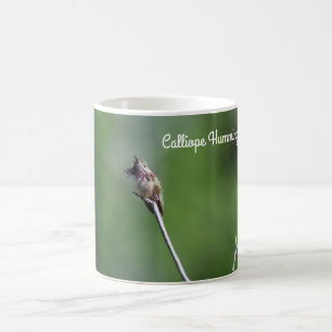 Calliope Hummingbird Coffee Mug
