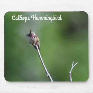 Calliope Hummingbird Mouse Mat