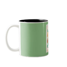 Calliopsis Bulbs and Seeds