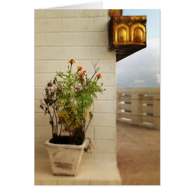 Calm and space in Nepal (Front)