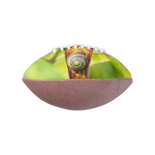calm attachment american football