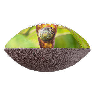 calm attachment american football