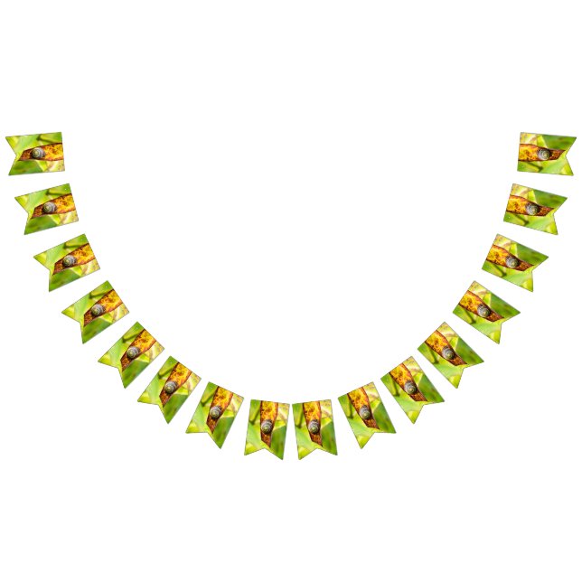calm attachment bunting  (All)