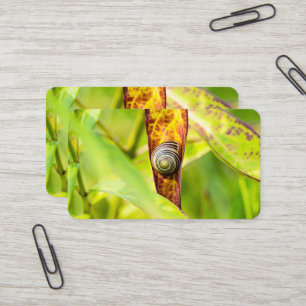 calm attachment business card