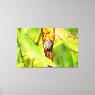 calm attachment canvas print