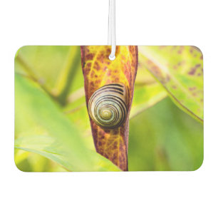 calm attachment car air freshener