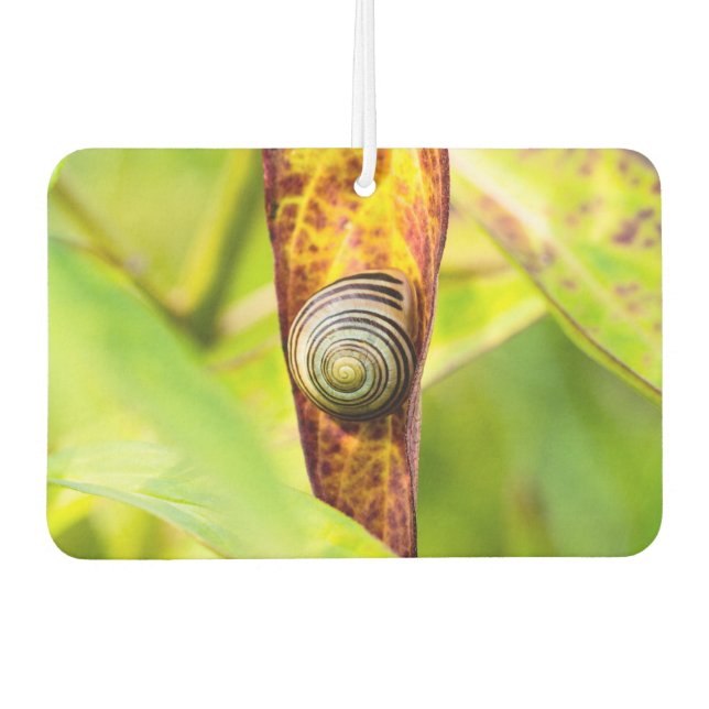 calm attachment car air freshener (Front)