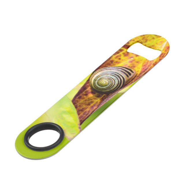 calm attachment credit card bottle opener (Front Angled)