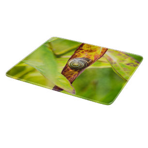 calm attachment cutting board