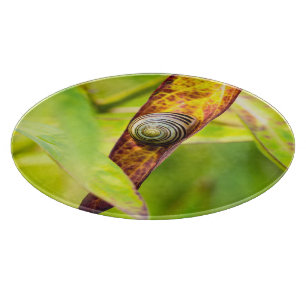 calm attachment cutting board