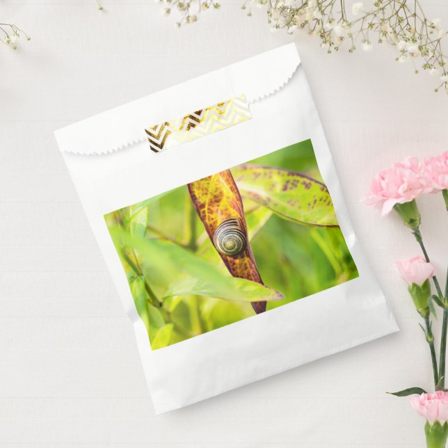 calm attachment favour bags (Sealed)