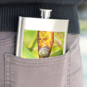 calm attachment flask