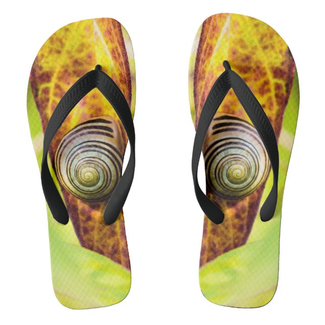 calm attachment flip flops (Footbed)