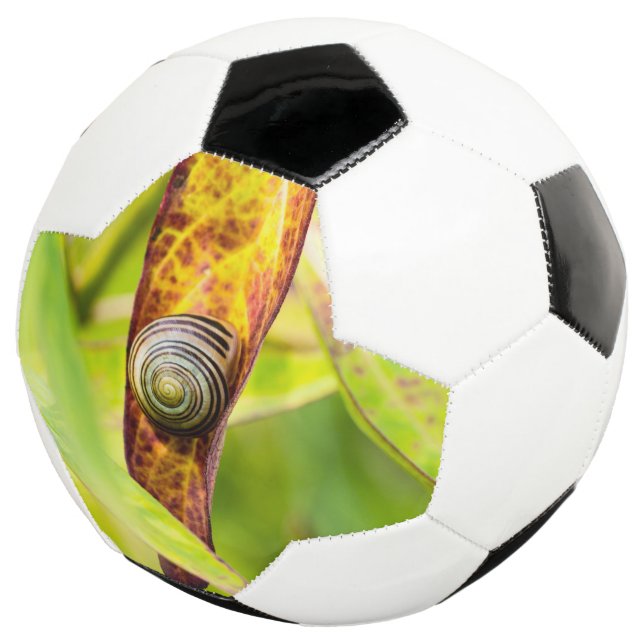 calm attachment football (Three Quarter)