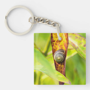 calm attachment key ring