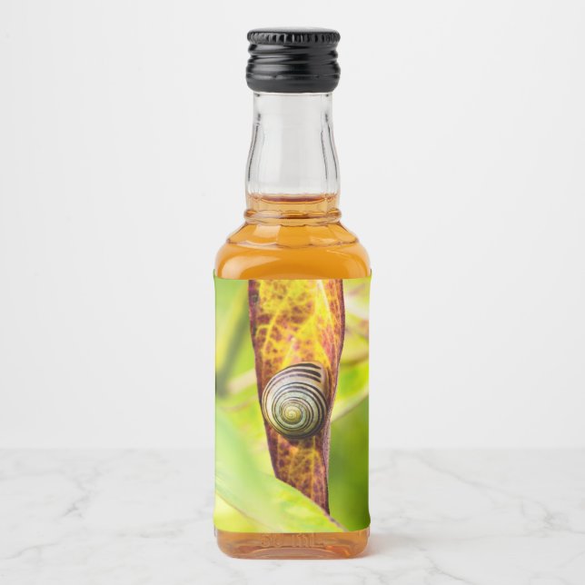 calm attachment liquor bottle label (Front)