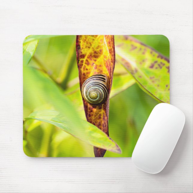 calm attachment mouse mat (With Mouse)