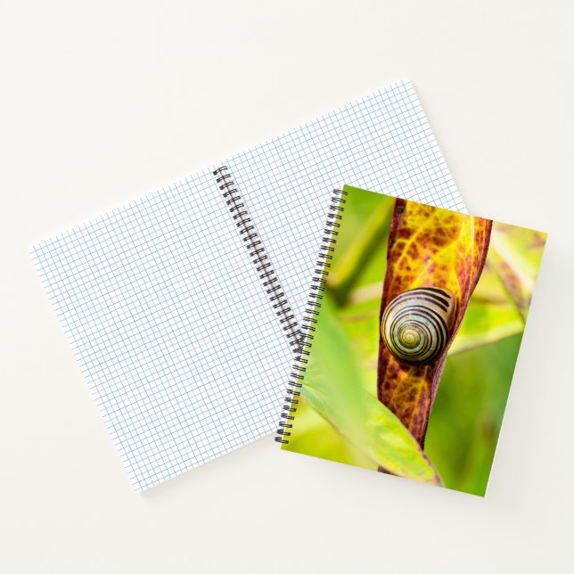 calm attachment notebook (Inside)