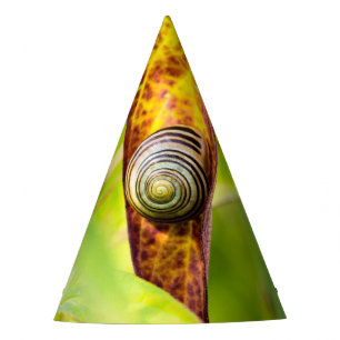 calm attachment party hat