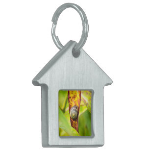 calm attachment pet ID tag