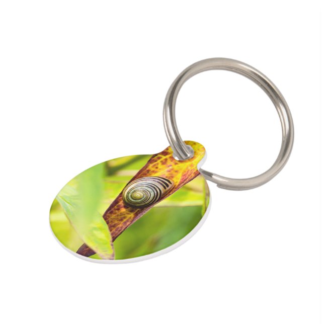 calm attachment pet tag (Side)